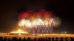 The Science Behind Fireworks: What Chemical Reaction Is Needed for