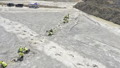 Hundreds of Dinosaur Footprints Found in England Quarry, Spark Fascinating