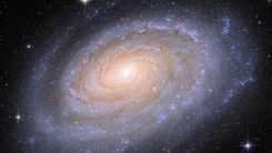 James Webb Telescope's New Discoveries Seemingly Contradict Long-Held Beliefs About