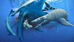 Mosasaur Fossil Faces Scrutiny as Researchers Spot Inconsistencies