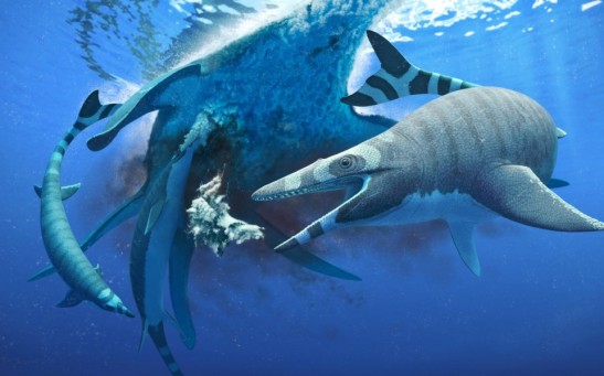 Mosasaur Fossil Faces Scrutiny as Researchers Spot Inconsistencies