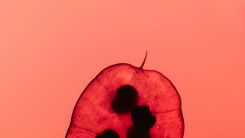 High-Throughput Sequencing as Key to Advancing Thalassemia Prevention