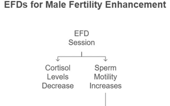 EFDs for Male Fertility Enhancement