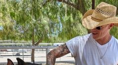 Where the Broken Heal: The Soul of Animal Sanctuary Work