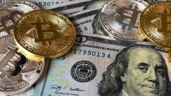 Why Bitcoin Price USD Is the Standard for Global Finance