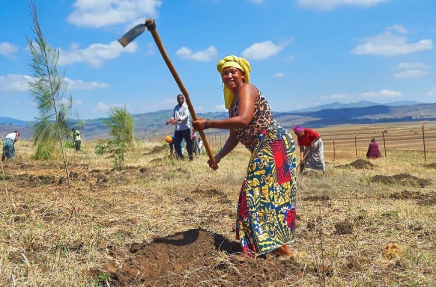 QI Group's Green Legacy: Planting 25,000 Trees Across 10 Countries