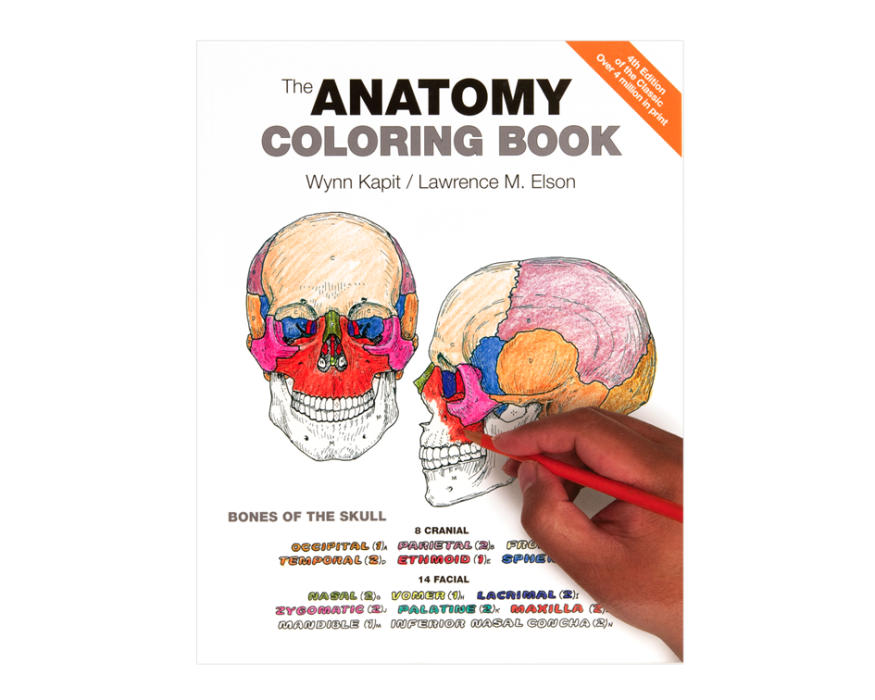 The Anatomy Coloring Book
