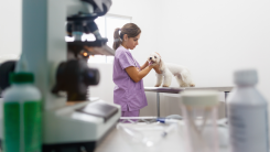 How Modern Platforms Restore Confidence in Veterinary Care