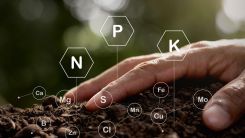 How Are Mycodigestible Products Enhancing Sustainability Efforts?