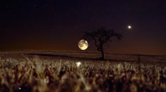 Moons