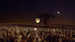 Moons