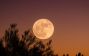 Supermoon