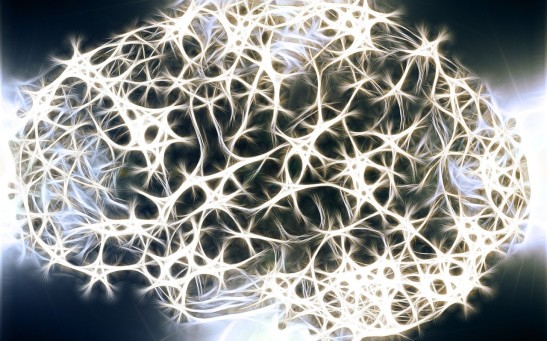 Neuroplasticity