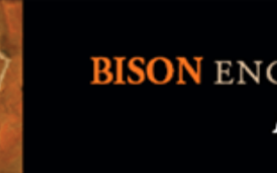 Bison Engineering