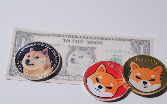 Shiba Inu's Standing and Prospects for the Future