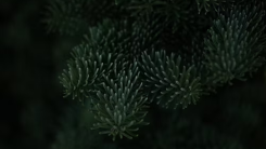 Terpenes: California Cannabis Testing Labs on The Next Big Thing