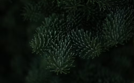 Terpenes: California Cannabis Testing Labs on The Next Big Thing