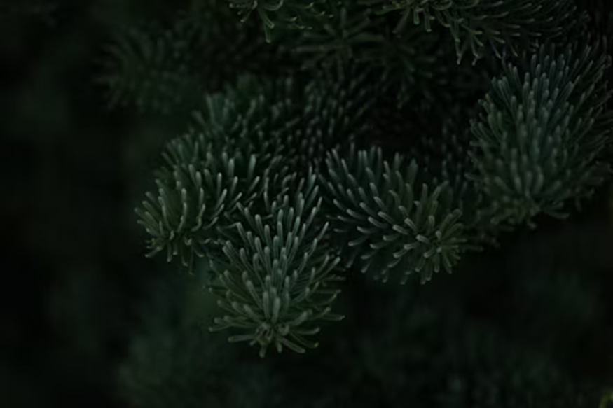 Terpenes: California Cannabis Testing Labs on The Next Big Thing