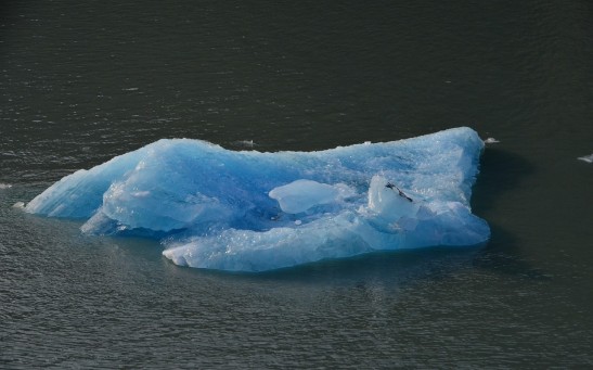 Floating Ice