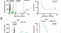 RMC-6236 Induces Rapid Antitumor Responses in NRAS-Mutant Melanoma Mouse Models
