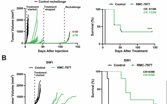 RMC-6236 Induces Rapid Antitumor Responses in NRAS-Mutant Melanoma Mouse Models