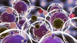 Nanoplastics: Humanity's Invisible Crisis