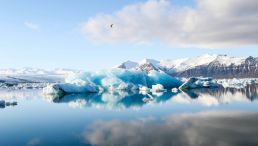 Icebergs Floating in a Calm Body of Water
