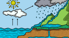 Water Cycle