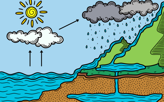 Water Cycle