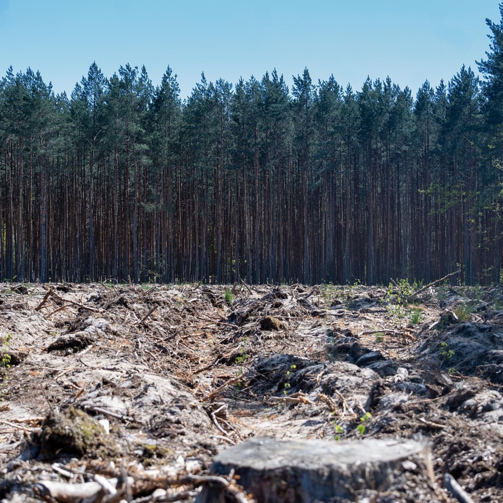 Habitat Changes and Population Impacts