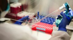 Researcher Measuring Cell Cultures