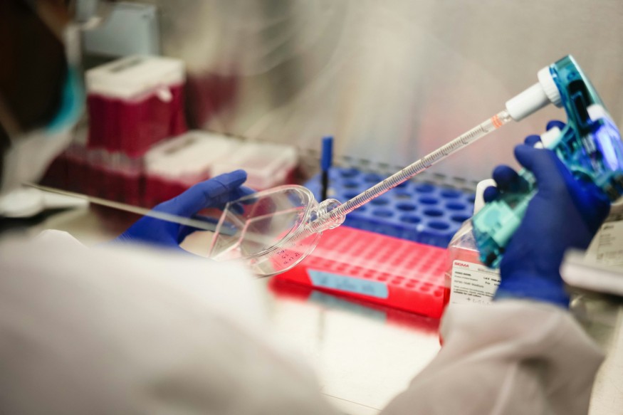 Researcher Measuring Cell Cultures
