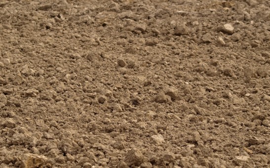 Soil