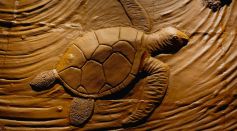 Wooden Carved Sea Turtle