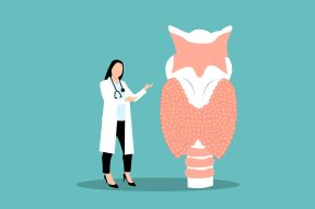 Illustration of Thyroid