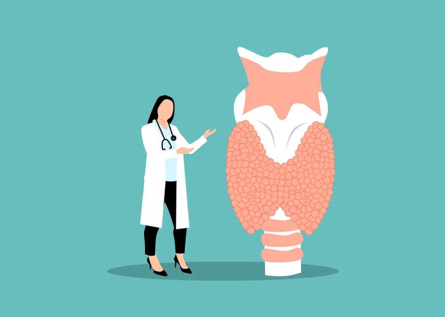 Illustration of Thyroid