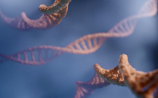 Double Helix Structure of DNA