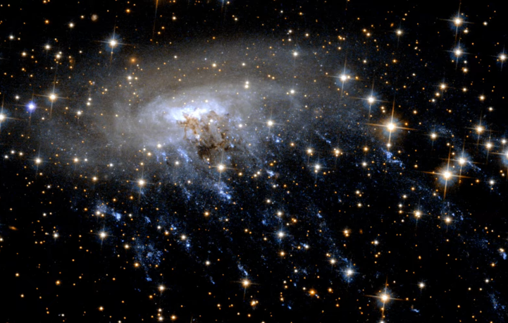 “Jellyfish” Galaxy