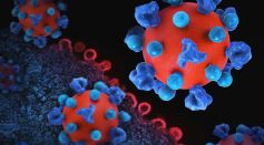 3D Presentation of Virus