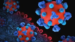 3D Presentation of Virus