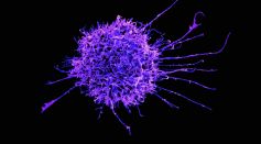 Purple Substance Illustration