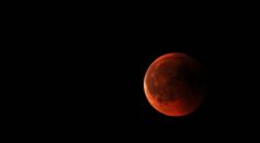 Blood Moon
