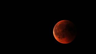 Blood Moon