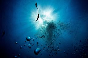 Deep Underwater View