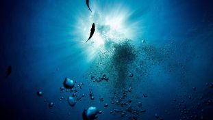 Deep Underwater View