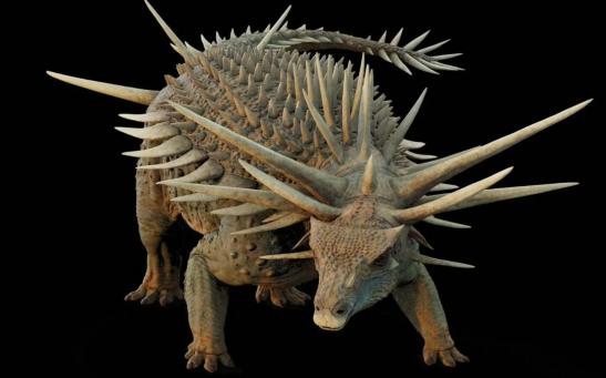 Ankylosaur