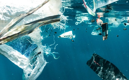 Ocean Plastic Pollution