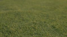 The Science Behind Golf Ball Degradation