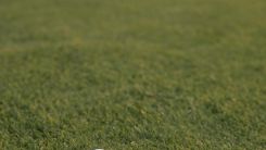 The Science Behind Golf Ball Degradation