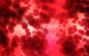 Blood
